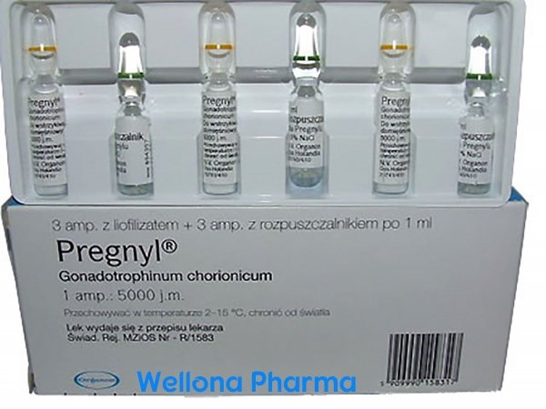 Pregnyl