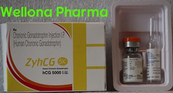 ZyHCG